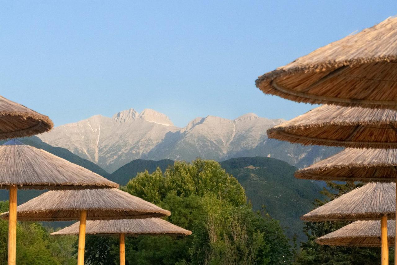 Olympios Zeus Hotel Plaka Litochorou Bagian luar foto
